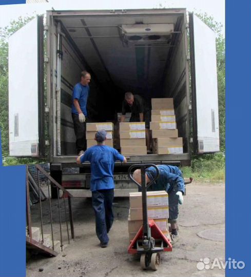 Аккуратные грузчики посменно Приедем быстро