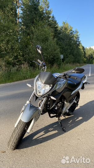 Stels Flex 250