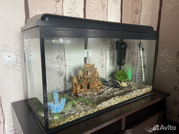 Аквариум