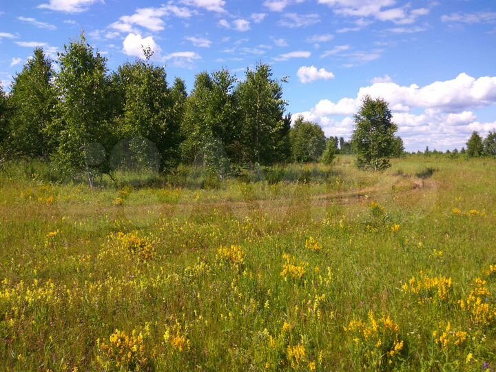 Участок 1,85 га (СНТ, ДНП)