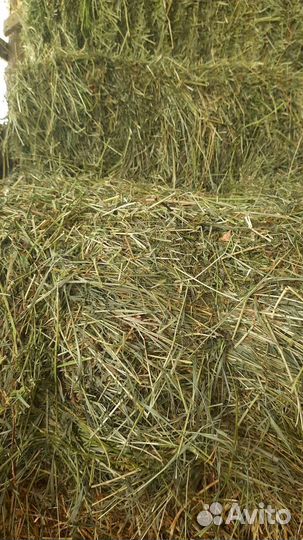 Продам сено,люцерна,разнотравье