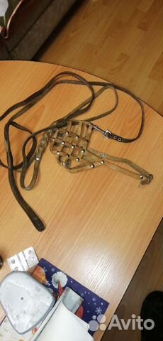 Ошейник для собаки