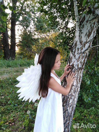 Крылья в аренду