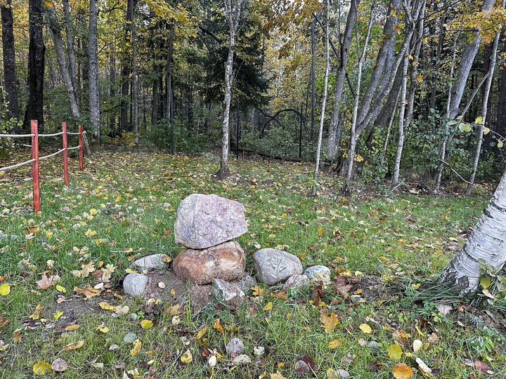 Дом 49 м² на участке 6 сот.