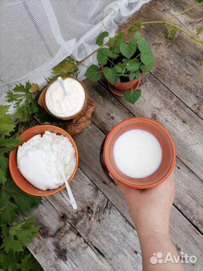 Молоко и молочные продукты