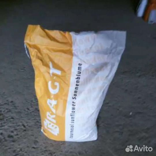 Семена подсолнечника под экспресс, евролайтинг