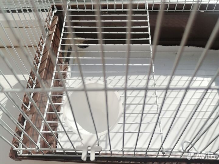 Клетка для грызунов бу