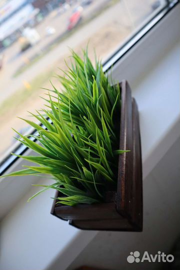 Осока искуственная