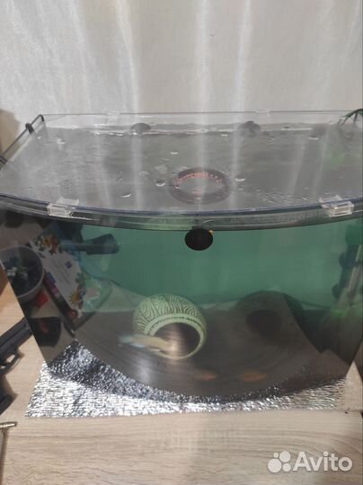 Аквариум с рыбками