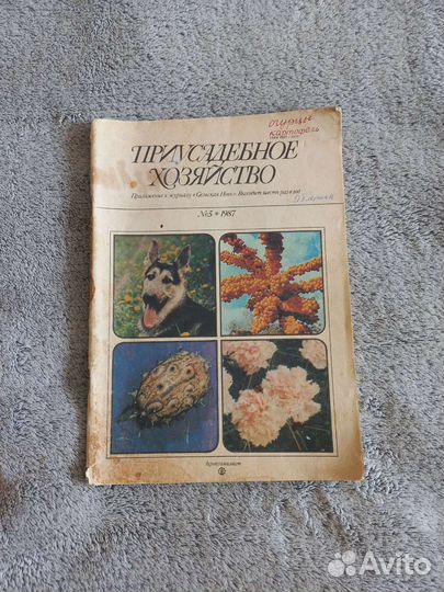 Приусадебное хозяйство журнал