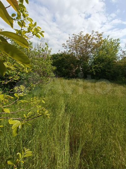 Участок 4,8 сот. (ИЖС)