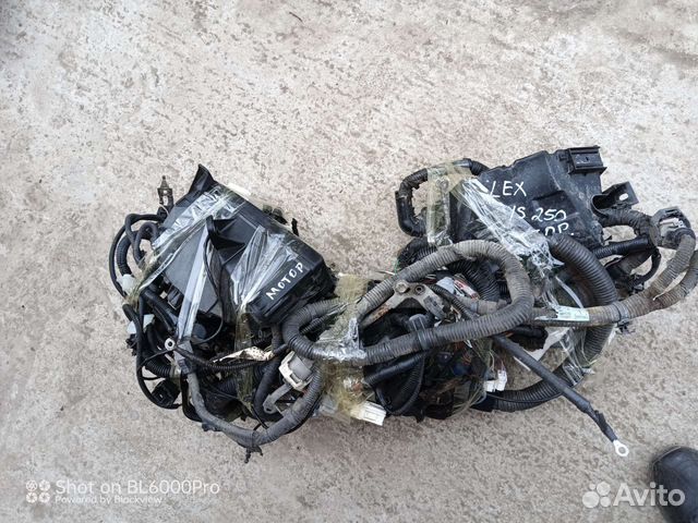 Lexus is 250 проводка моторного отсека