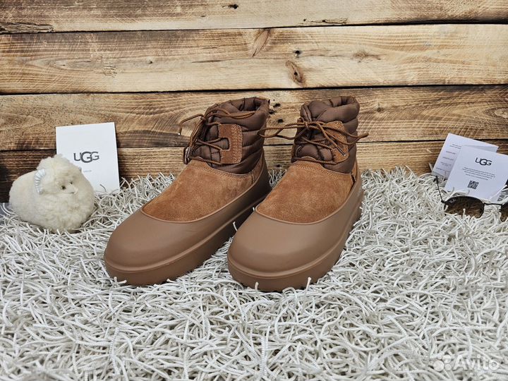 Ugg Classic Mini Lace-up Weather Chestnut оригинал