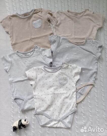 Боди Next 6 - 9 месяцев