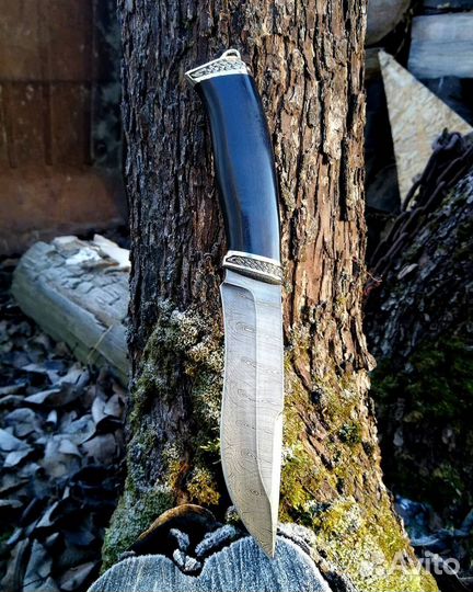 Нож Беркут из дамасской стали рукоять граб