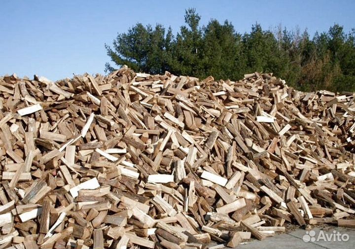 Дрова Береза