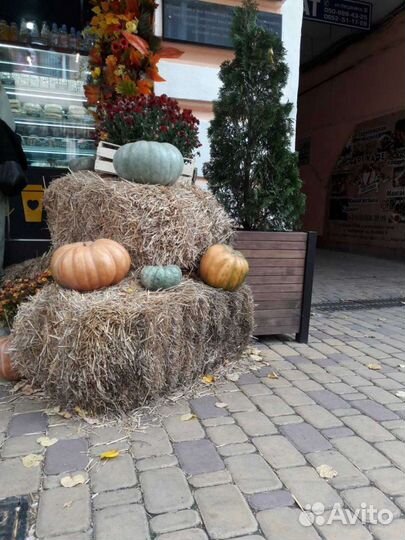 Солома, сено, рядом с вами