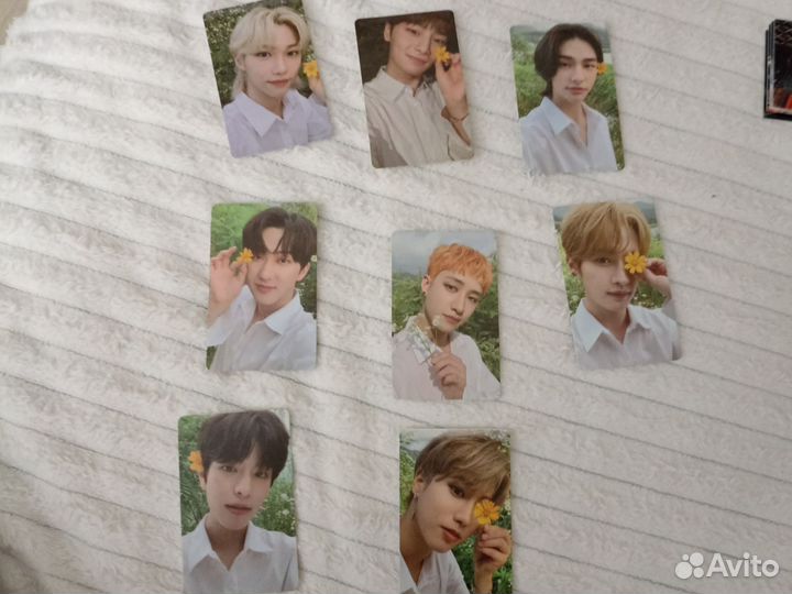 Карты стрей кидс неоф