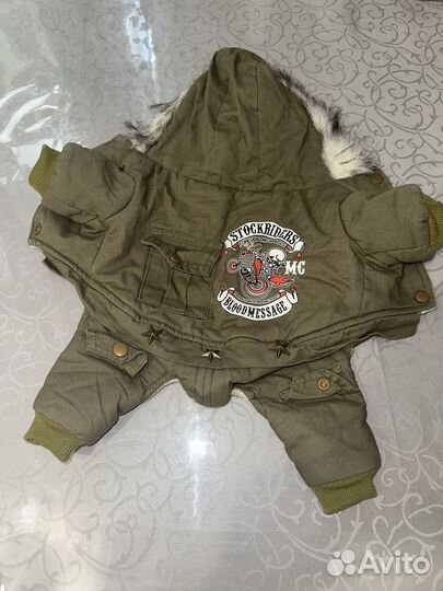 Одежда и обувь для собак