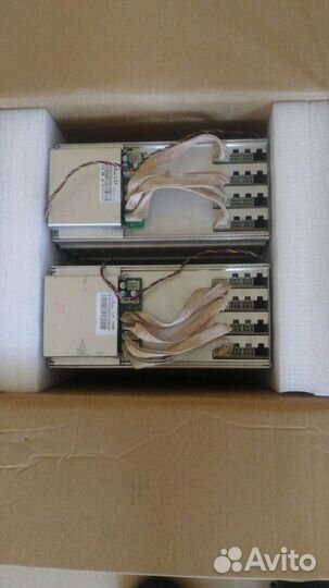 Asic antminer l3+