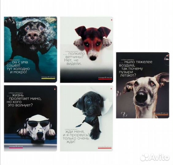 Тетрадь 12,18, 36, 48л клетка, линейка