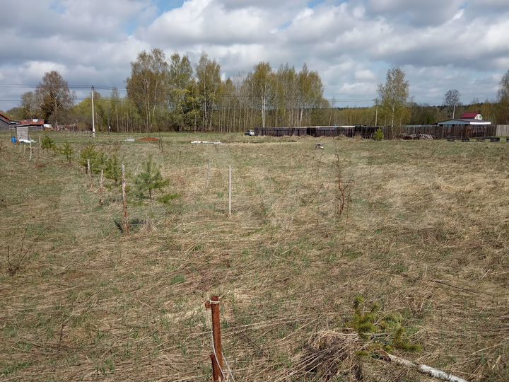 Участок 12 сот. (ИЖС)