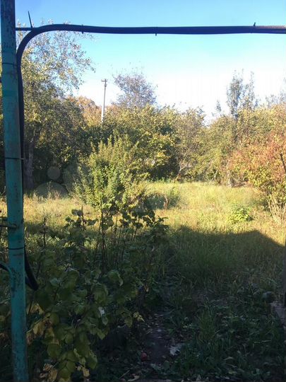 Дача 40,5 м² на участке 12 сот.