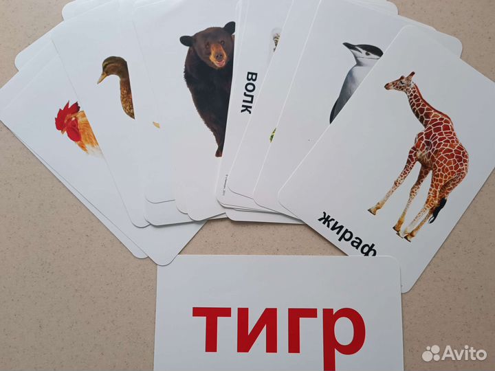 Суперкарточки по методике Домана