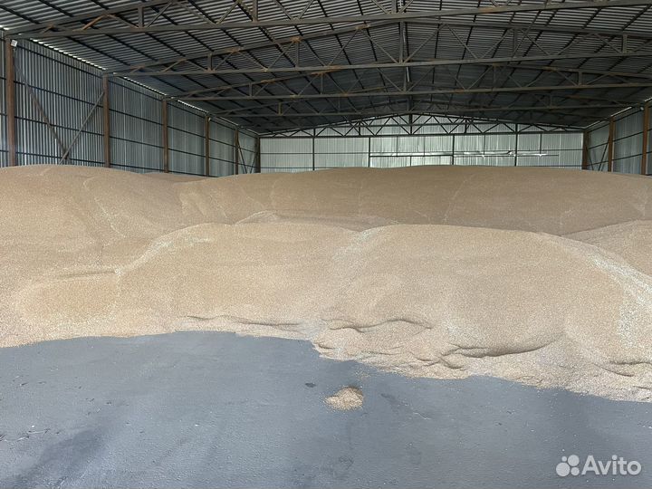 Зерно пшеница ячмень