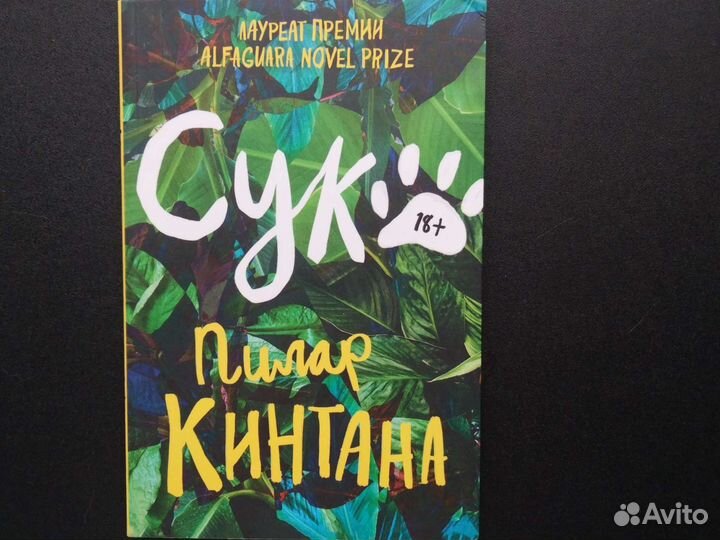 С*ка(Пилар Кинтана)