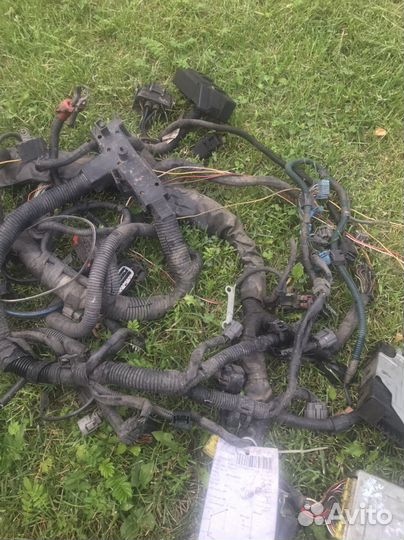 Эбу Митсубиши Шариот Грандис