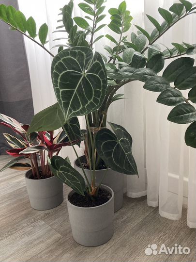 Кашпо IKEA