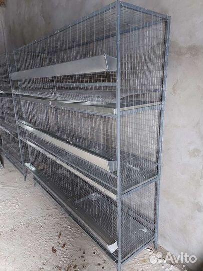 Клетки для кур несушек бу. Один сезон