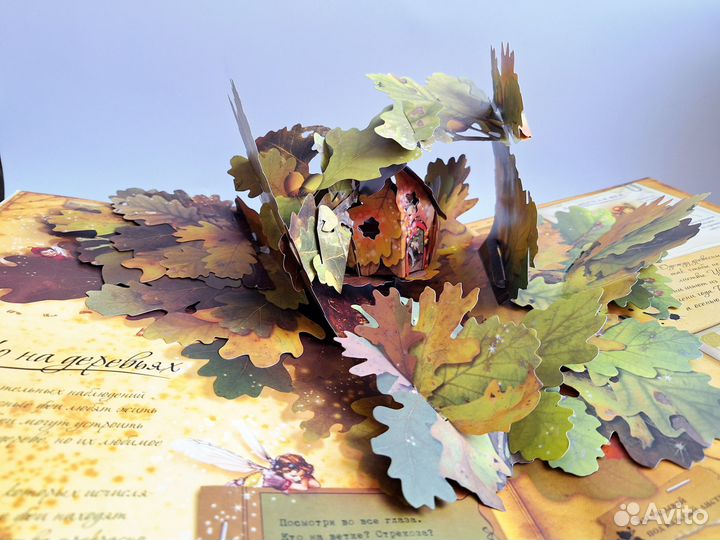 Королевство фей