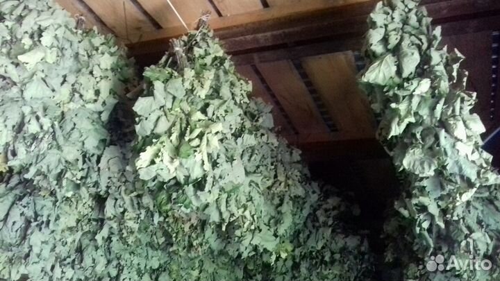 Веник березовый и дубовый