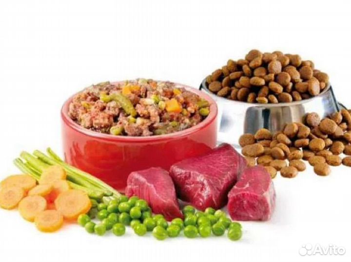 Сухой корм для собак и кошек домашний