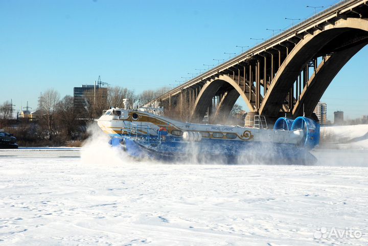 Судно на воздушной подушке 