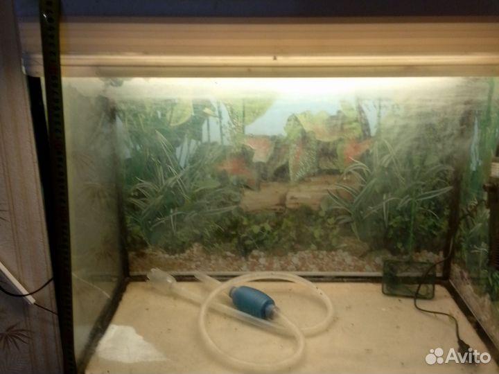 Аквариум