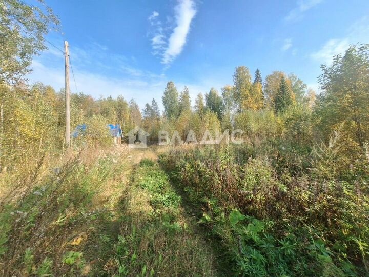 Участок 10 сот. (СНТ, ДНП)