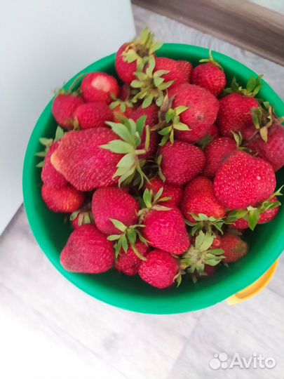 Свежая ягода виктория