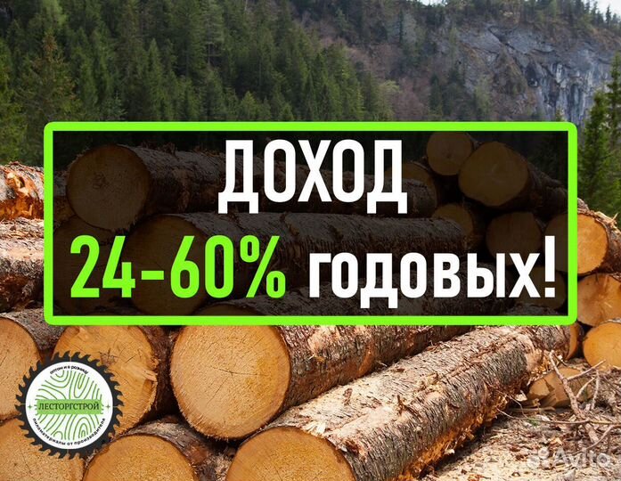 Инвестиции в лес