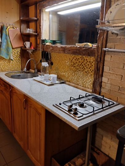 Дом 50 м² на участке 20 сот.