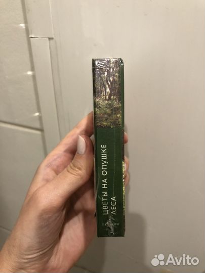 Блокнот «Цветы на опушке леса» Шишкин