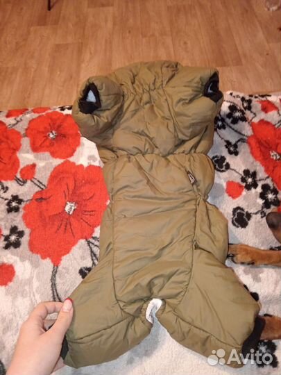 Зимний комбинезон для собаки средних пород