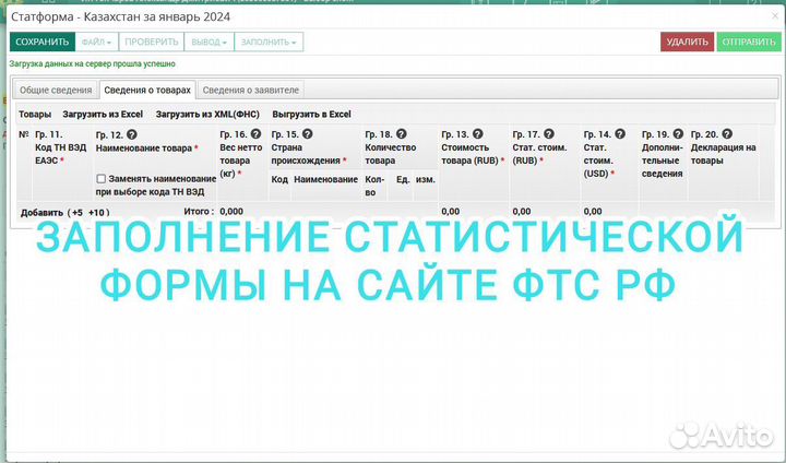 Заполнение Статистической формы фтс РФ (озон)