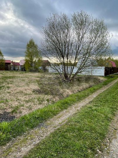 Участок 12 сот. (СНТ, ДНП)