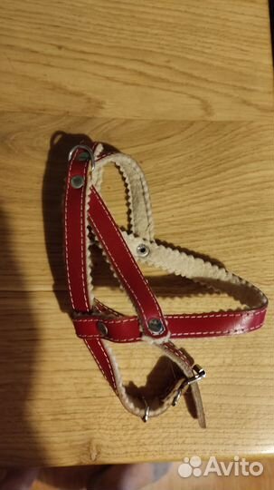 Лоток для собак под пеленку, шлейки 2 шт., носки