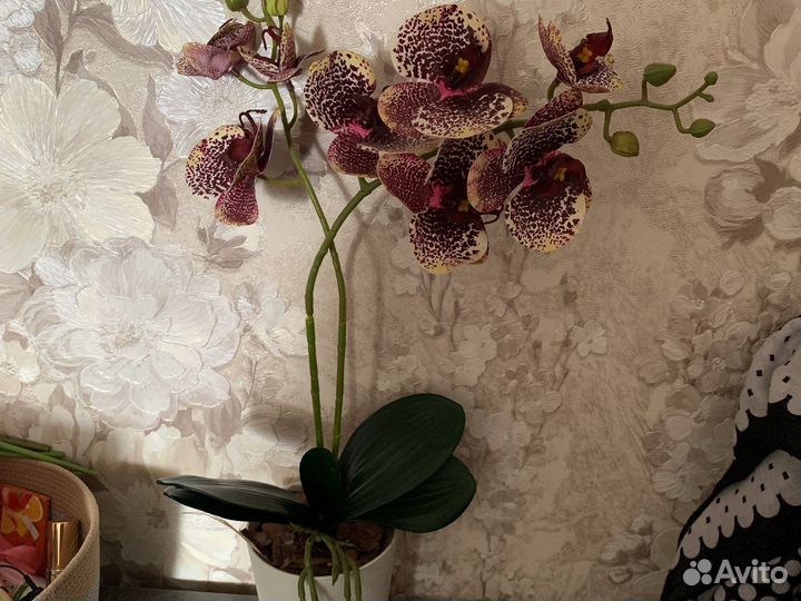 Орхидея искуственнная
