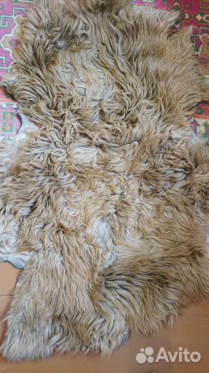 Овечья шкурка крашеная- 100*60, 12шт
