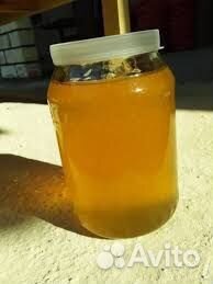 Мед эспарцетовый оптом